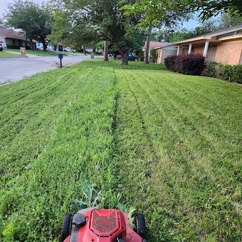 Epic Lawn Service in Fort Worth