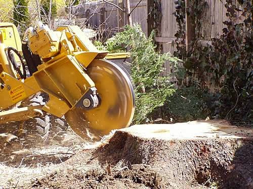 E.G. Dodson Lawn and Tree Service in Joshua