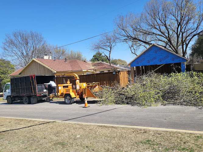 Bladi's Tree Service in Grand Prairie