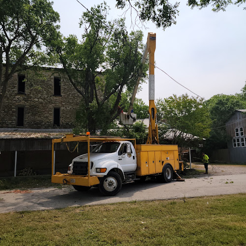 4 B's Tree and Lawn Service LLC in Springtown