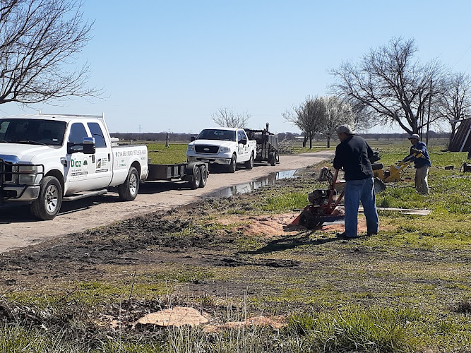 Diaz Tree & Lawn Service in Garland