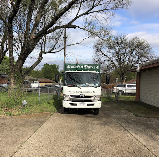 Big Bird Tree Service in Dallas