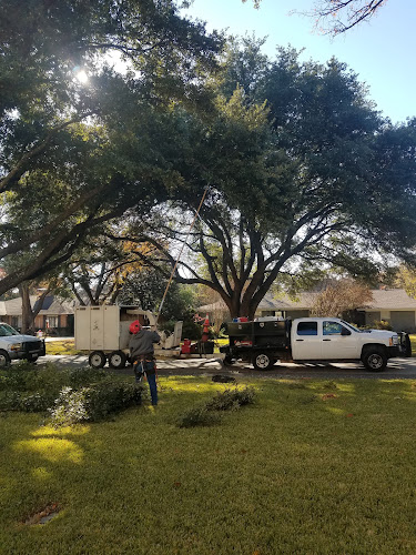 ArborDocs LLC in Allen