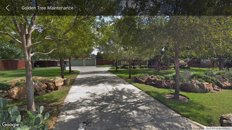 Golden Tree Maintenance in Flower Mound
