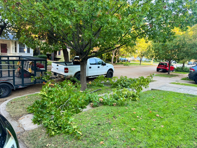 Montoya Tree Service in Fort Worth