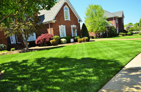Texas Landscape Services of Dallas/Fort Worth in Pilot Point