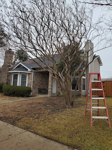 Esparza Lawn Care in Seagoville