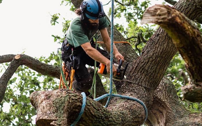 Local Landscaper, LLC - Mansfield in Mansfield