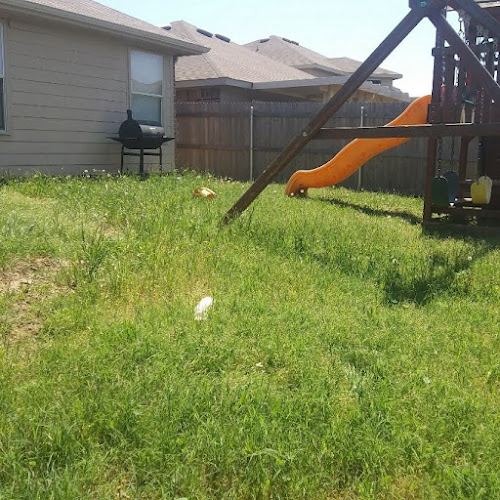 Weed Whacker in Keller
