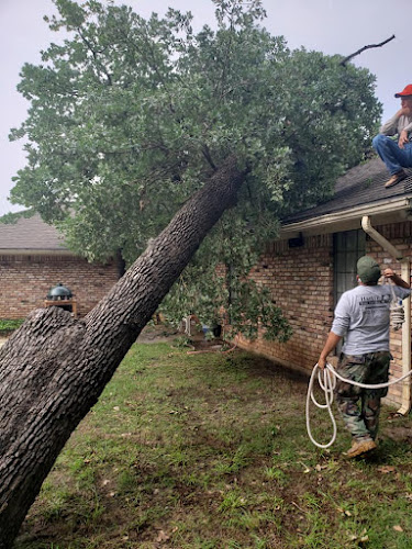 Hartin Tree Service in Weatherford