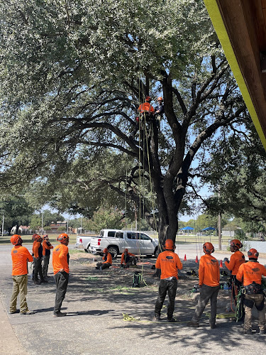 SavATree - Tree Service & Lawn Care in Dallas