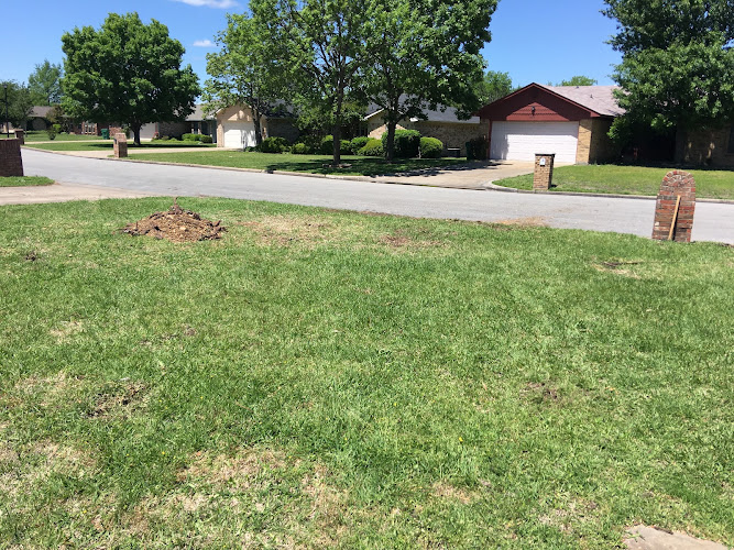 Jackson's Tree Services in Greenville
