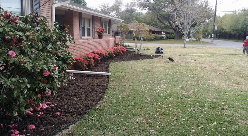 Act Now Landscape Design in Dallas