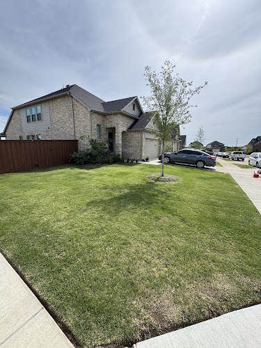 DaBoyz Landscaping in Mesquite