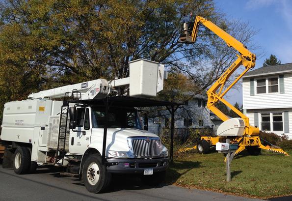 Montiel's Tree Service in Fort Worth