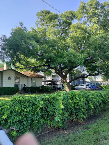 BWB Tree and landscapes in Granbury