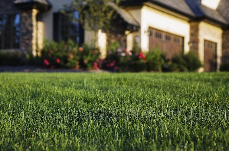 Custom Turf Services, Inc. in Colleyville
