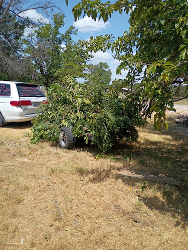 Glenn's Haul Done Lawncare Specialist in Mineral Wells
