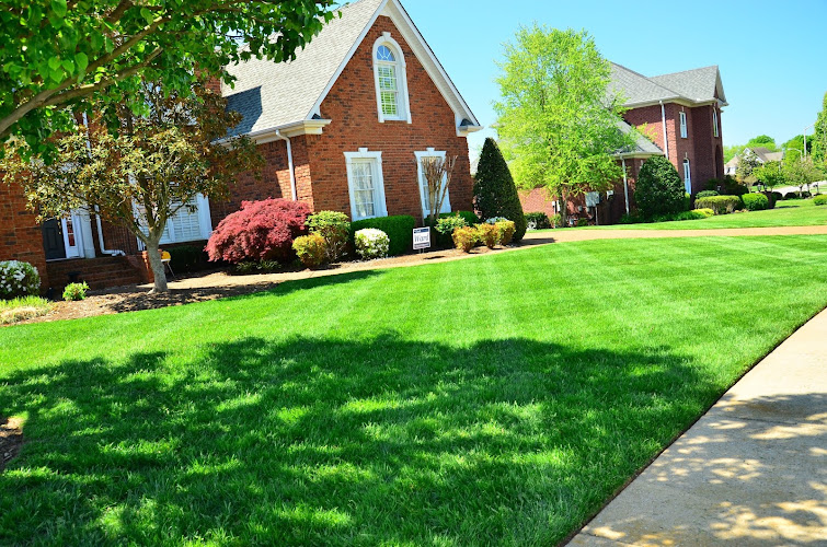 Xpress Lawn Care & Landscaping in Arlington
