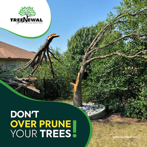 TreeNewal, Certified Arborist in Argyle