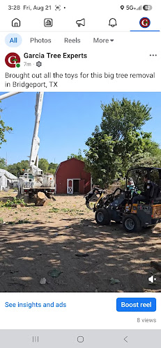 Garcia Tree Experts in Bridgeport