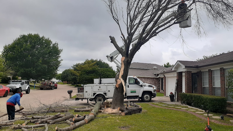 red monkeys tree service llc in Grand Prairie
