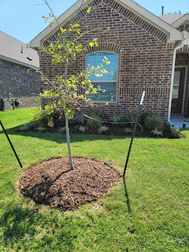 A.M. Lawn Pros, LLC in Forney