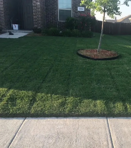 Texas Sprinkler System Design in Greenville