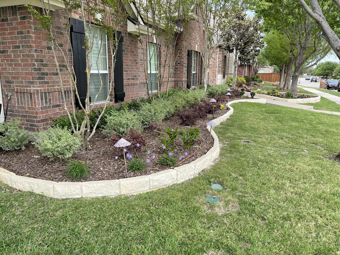 Mansfield Landscaping in Mansfield