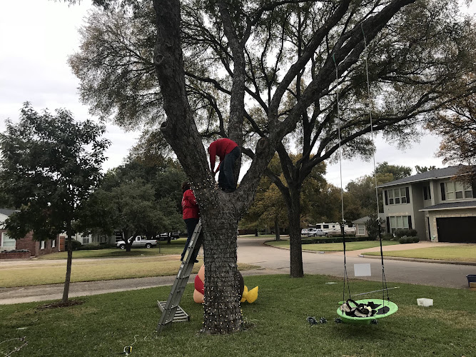 Integra Lawns Burleson TX in Burleson