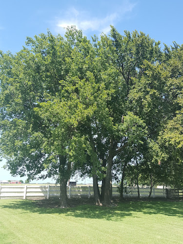 A Cut Above Lawn Care LLC in Celina