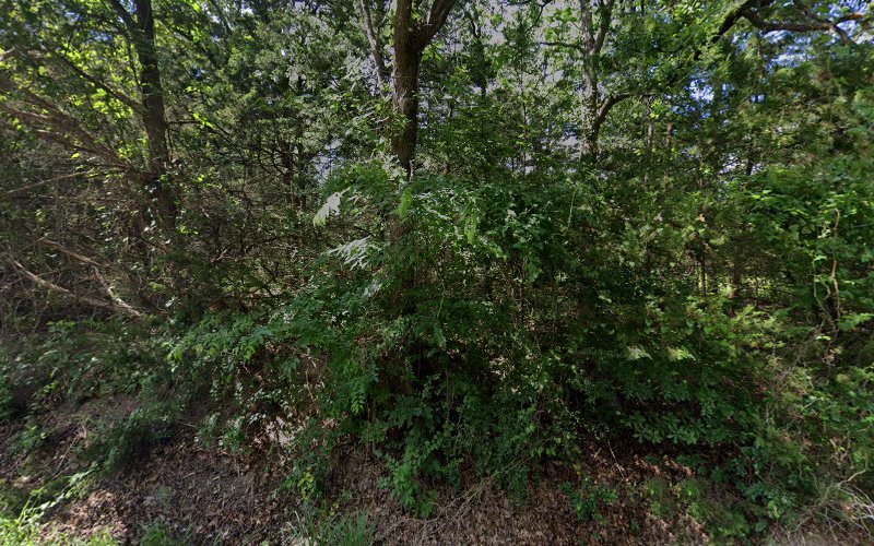 JUSTIN TIME TREE SERVICE in Quinlan