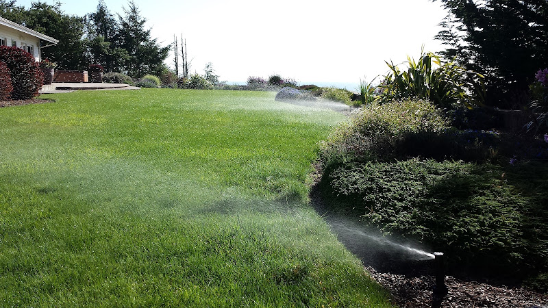 Streamline Landscape in Colleyville
