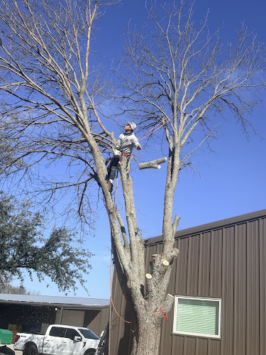 Erik's Tree & Lawn Care Services in Frisco