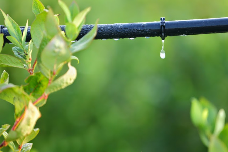 Precision Irrigation Systems in Dallas