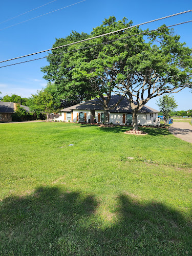 Tree Service World in Duncanville