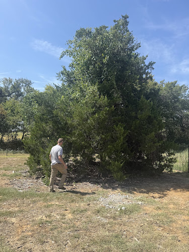 All season pro tree service in Cleburne