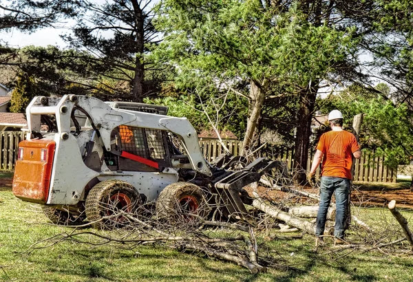 AAA Tree Trimming & Firewood Farm Mansfield in Mansfield