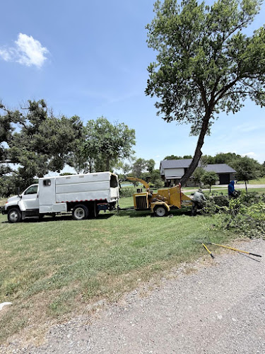 Quality Tree Service Dfw in Denton
