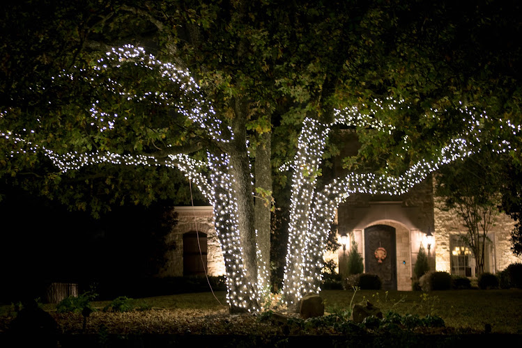 R & O Landscape Services in Keller