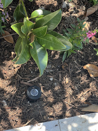 Rockwall Sprinkler Repair in Royse City