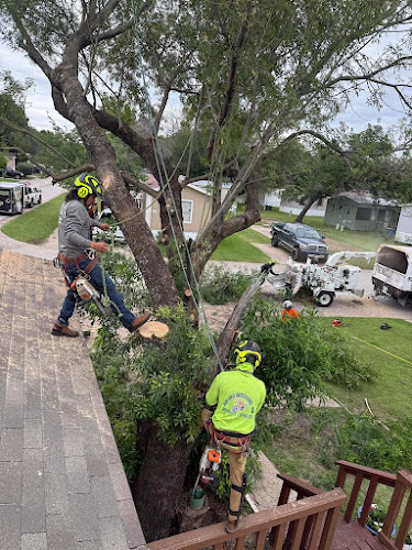 Junior's Tree Services in Lewisville