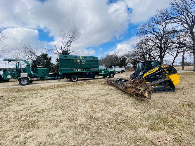 Lonestar Tree Service in Kaufman