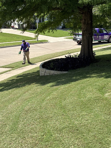 Purple Care in Keller