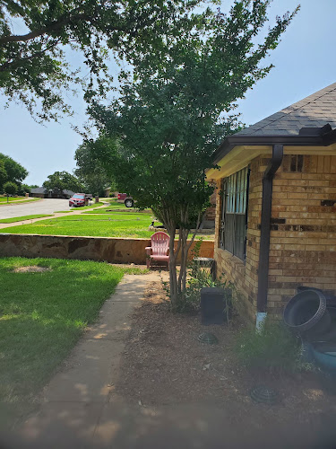 Rock Around Tree Service in Haltom City