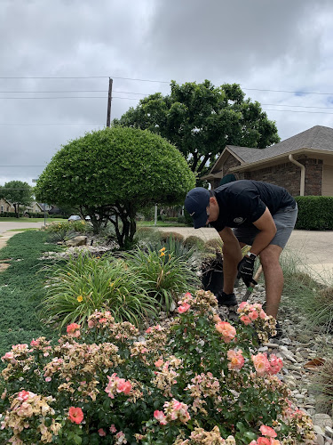 Sandoval Landscaping in Mesquite