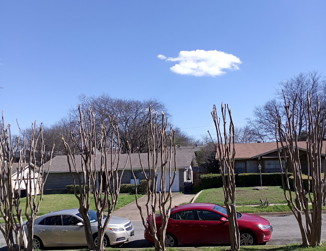 J's Sod & Tree - Professional Sod installation & Тree Trimming in Grand Prairie