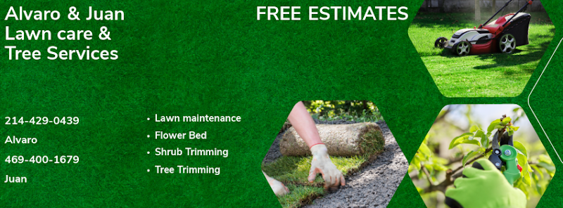 Alvaro & Juan Lawn Care Service in Grand Prairie