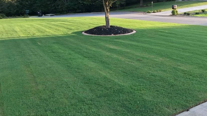 Top Turf Lawn Care and Pest Management in McKinney