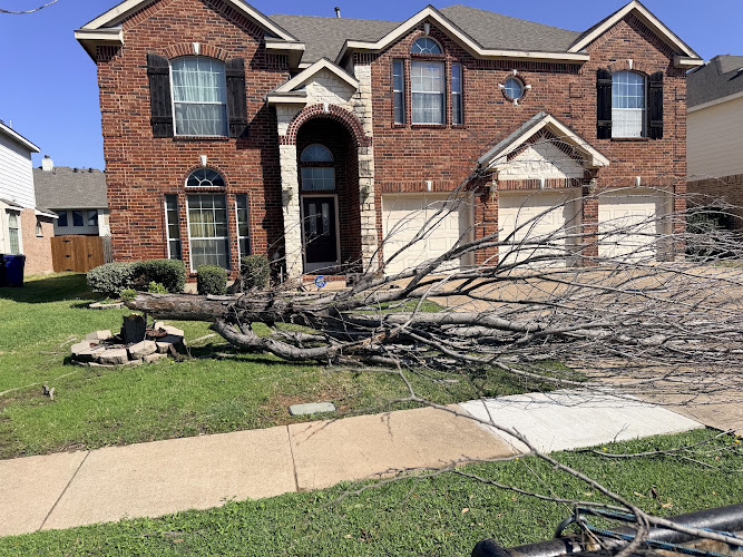 treeservicefortworth in Southlake